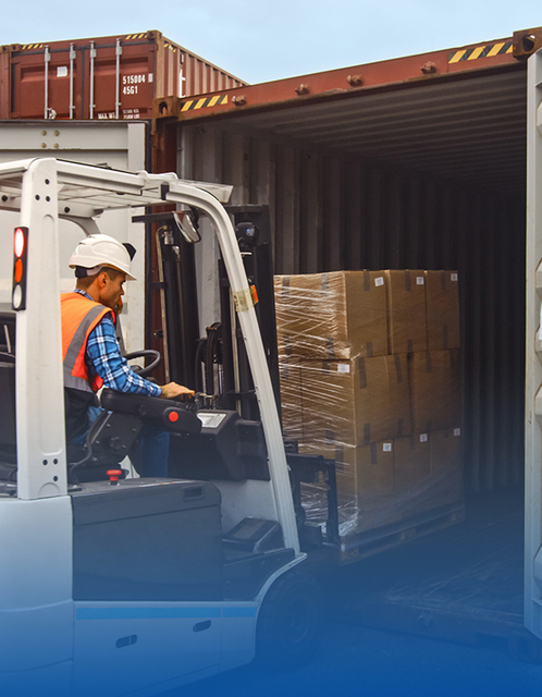 各类食品及相关机械