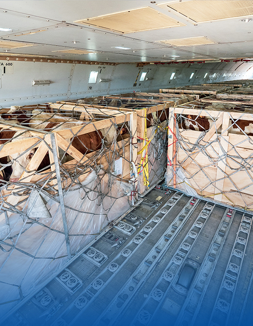 活体动物动植物标本